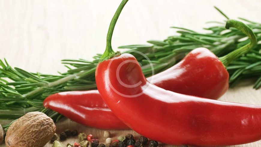 Center for Food Safety Sues USDA Over Genetically Modified Alfalfa